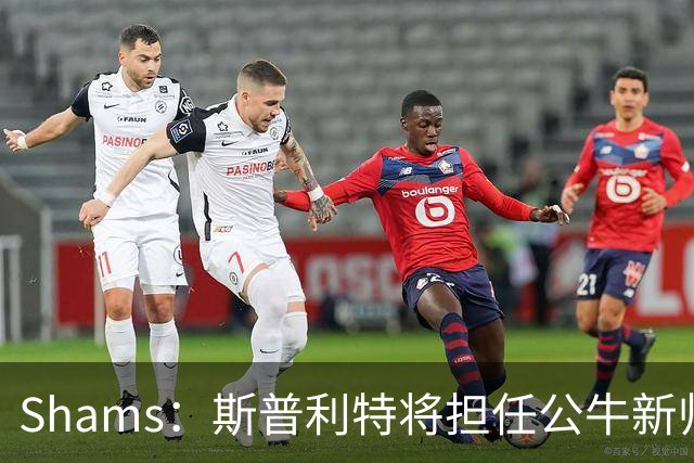 Shams：斯普利特将担任公牛新帅 上赛季率开拓者获西部第七